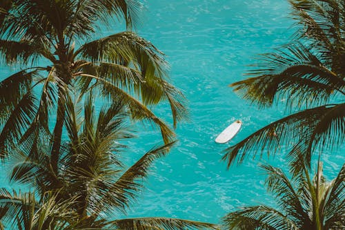 Empty Surfboard on Shore