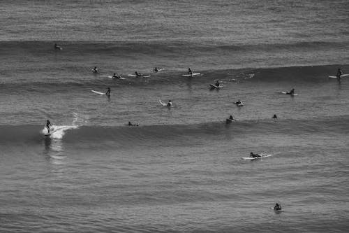 Aerial View of People Surfing 