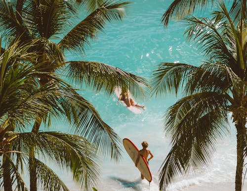 People with Surfboards on a Beach