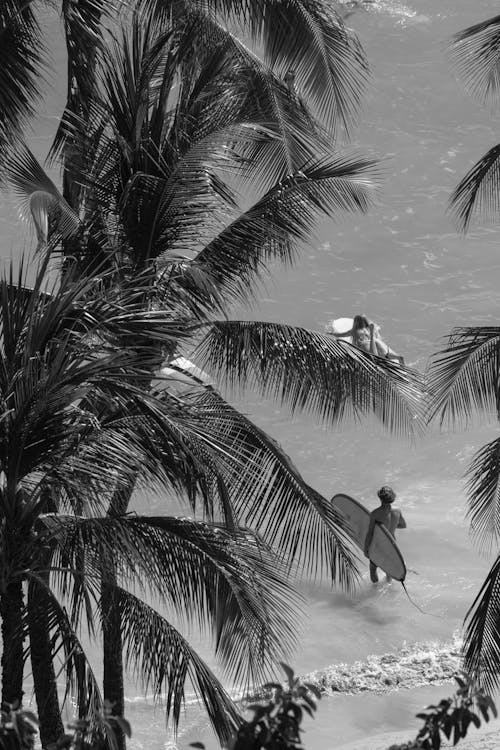 Photograph of People Going Surfing From Above Palm Trees