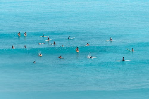 People Surfing in Ocean