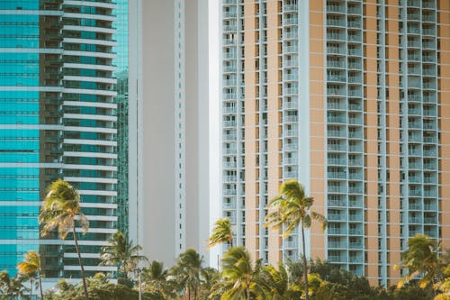 High Rise Apartment Buildings in City 