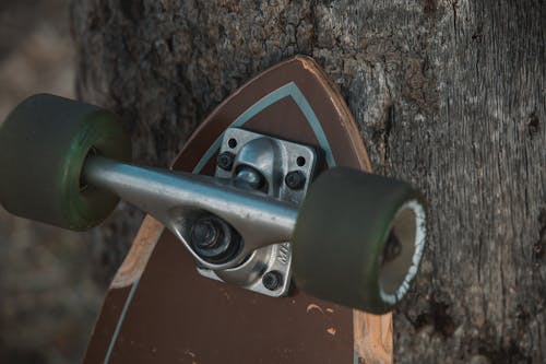 Close up of a Skateboard against Tree Trunk