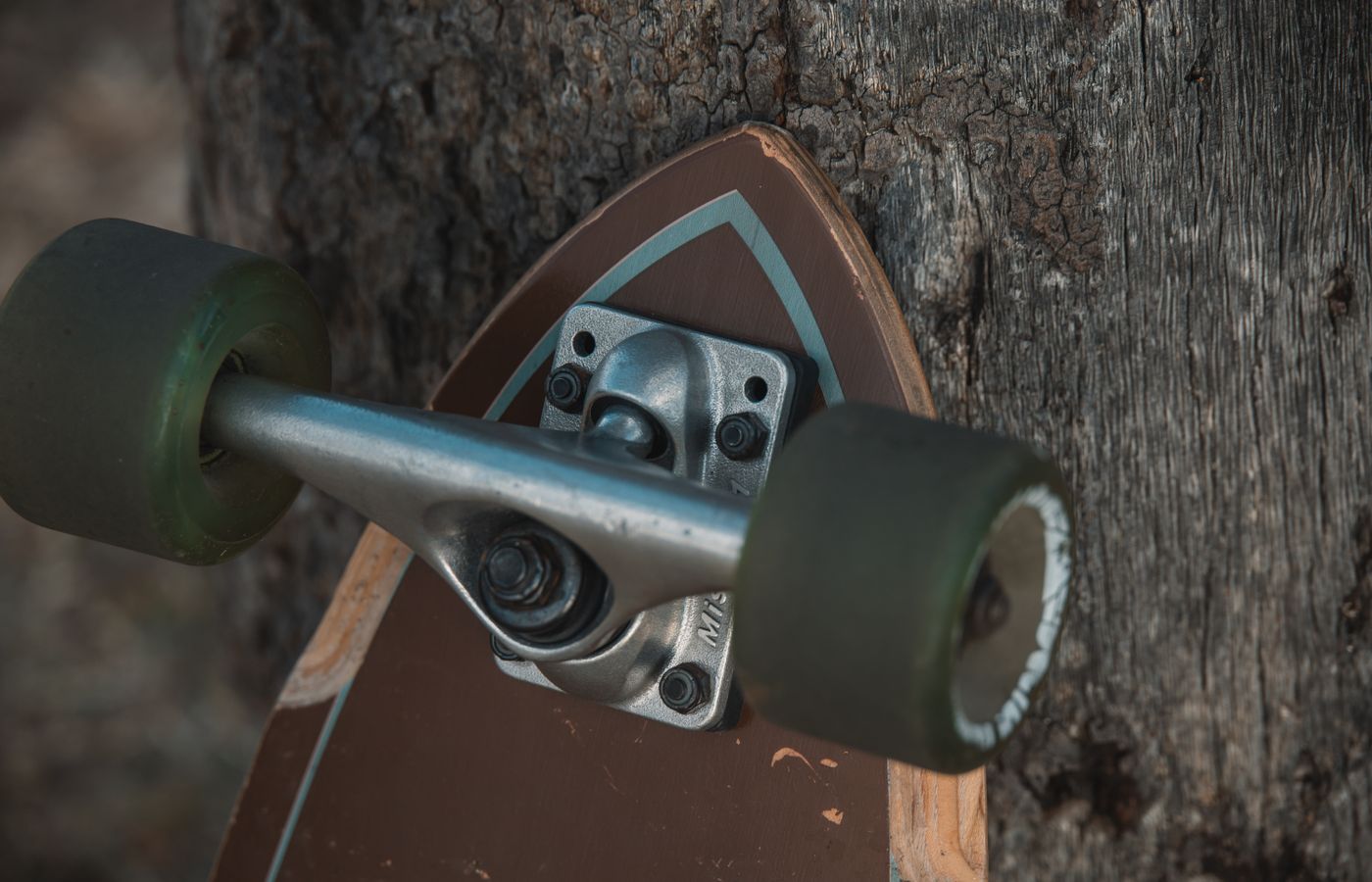 Detailed view of skateboard wheel and truck against a rugged tree bark
