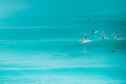 Surfers in Ocean