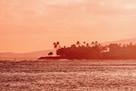 宁静的热带海岸线，棕榈树映衬着海上充满活力的日落