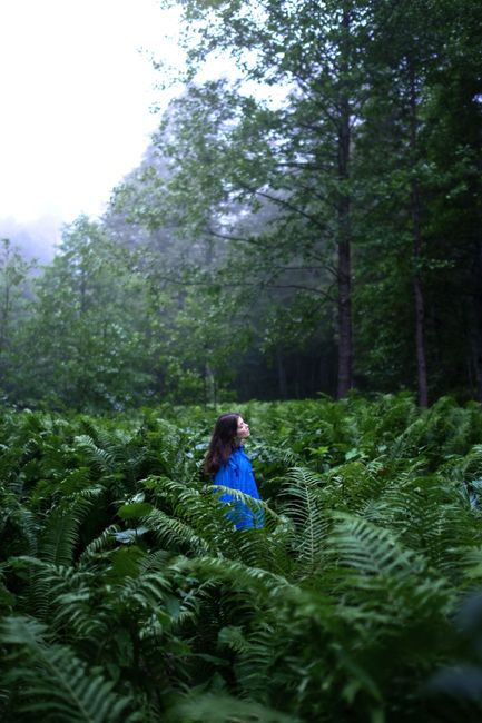 A woman in a vibrant blue jacket stands amid lush green ferns in a misty forest during the day.