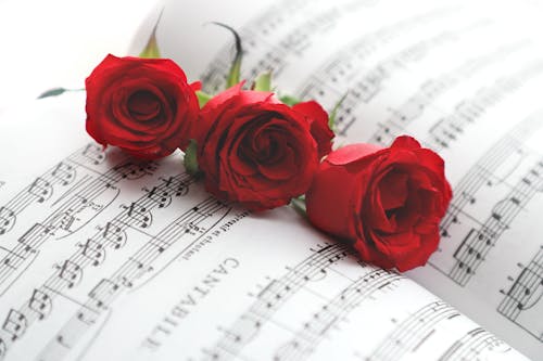 Red Roses on a Sheet Music 