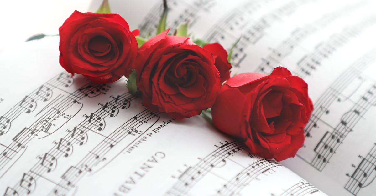 Red Roses on a Sheet Music · Free Stock Photo