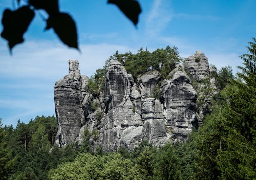 Бесплатное стоковое фото с восхождение, горные скалы, деревья