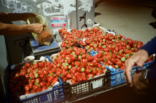 Foto stok gratis buah merah, melego, pasar