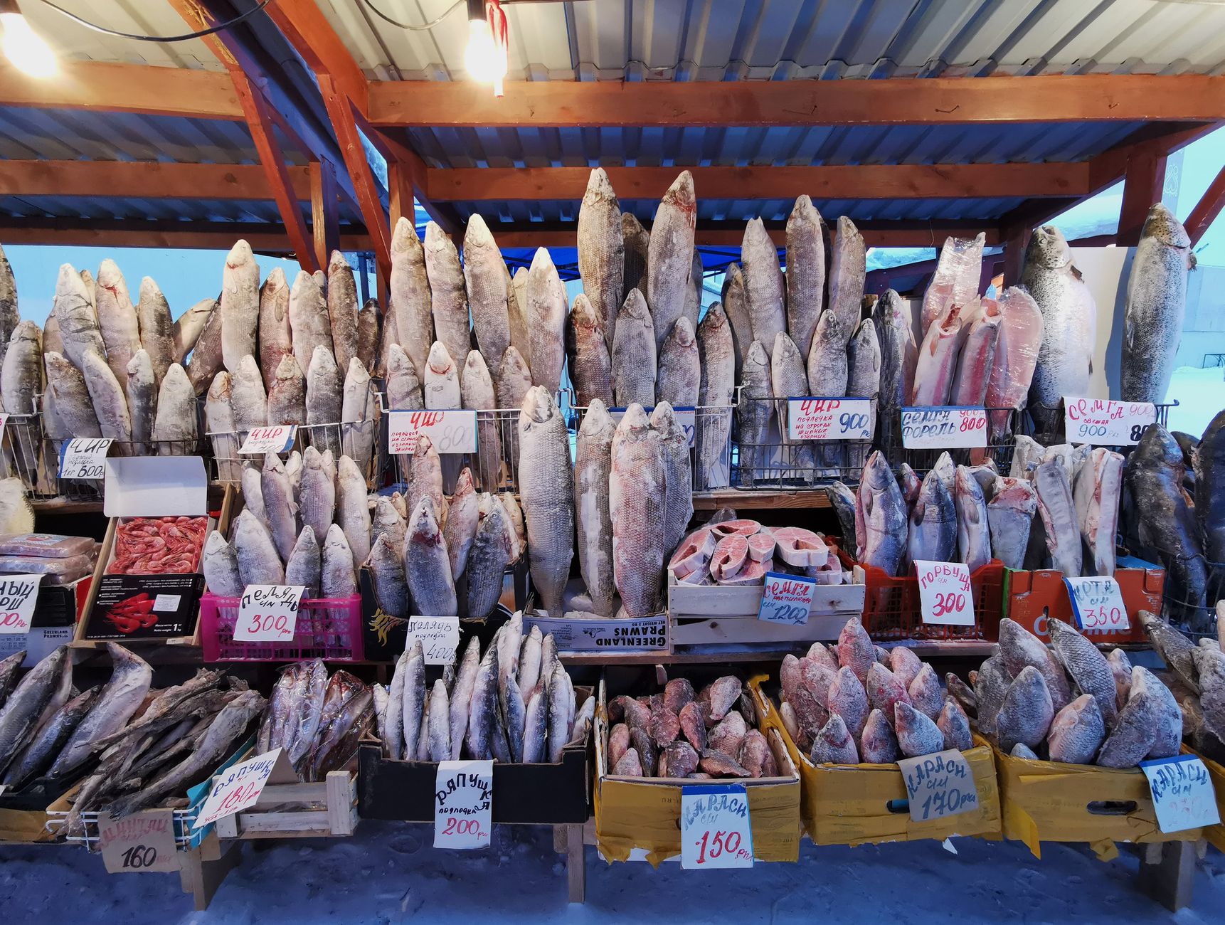 A variety of frozen fish on display in an outdoor market, showcasing seafood options.