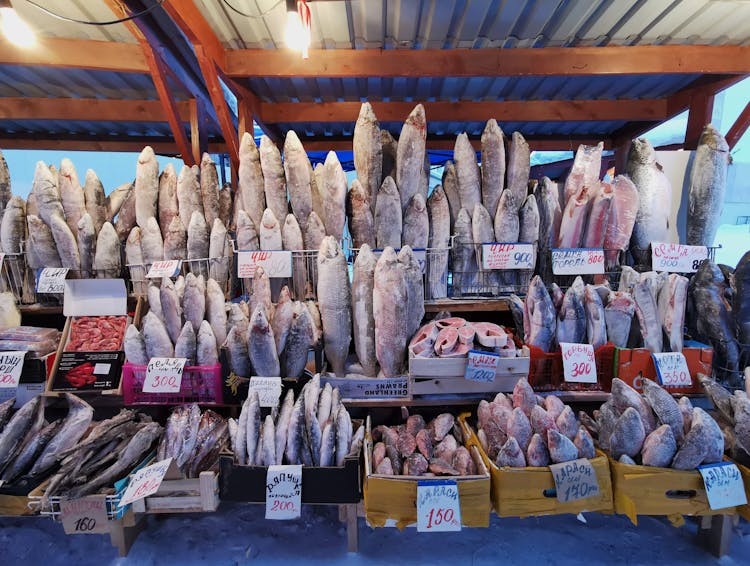 Frozen Fishes In Market