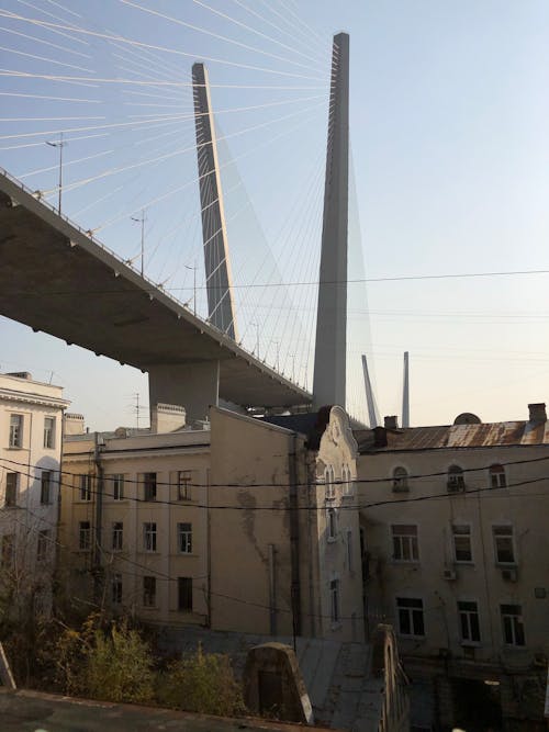 Cable-Stayed Bridge Over Concrete Buildings