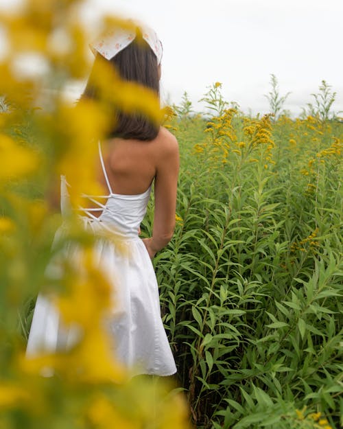 Free Selective Focus Photo of a Woman in White Dress Standing in Yellow Flower Field Stock Photo