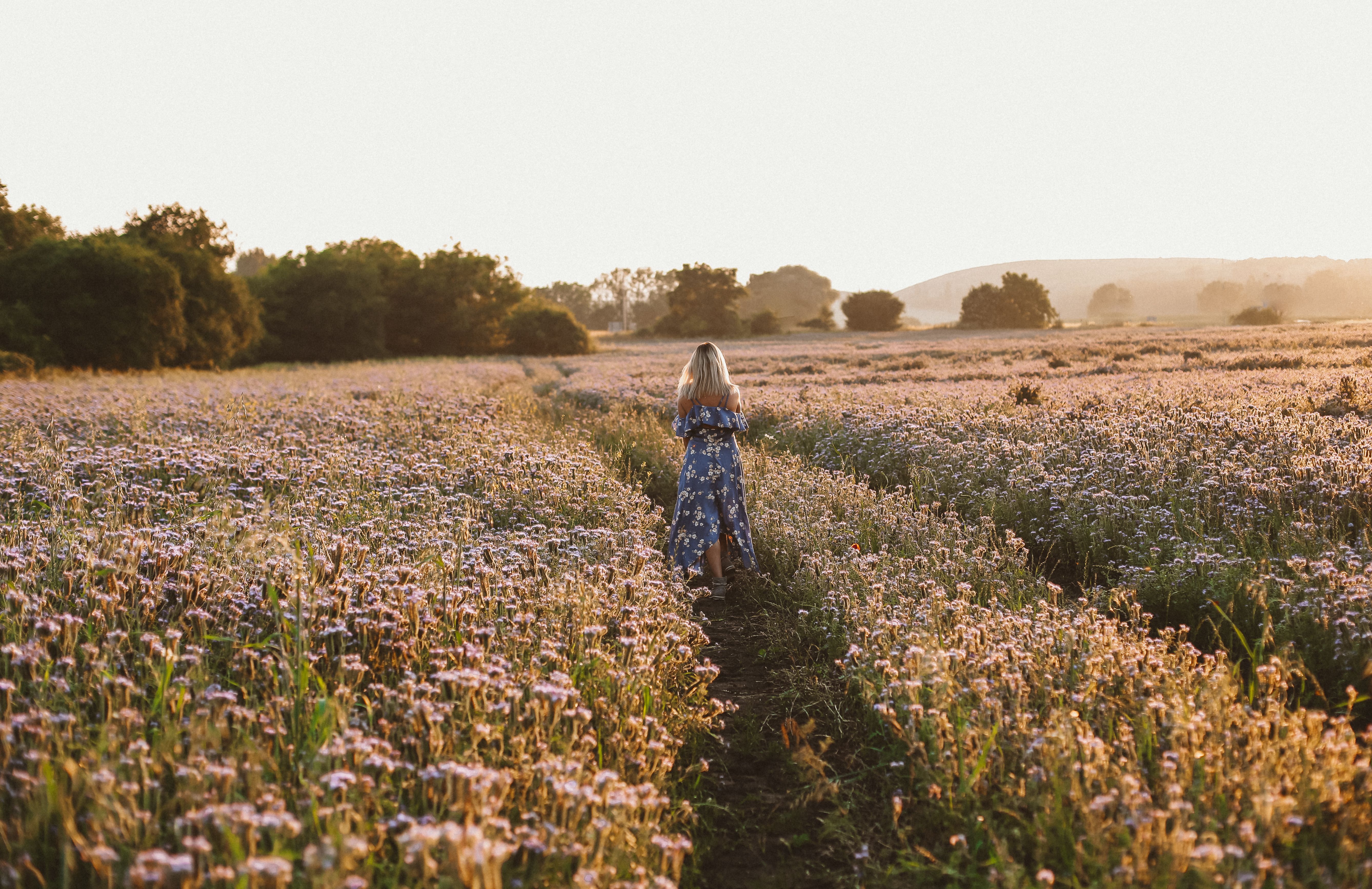 A woman in a floral dress walking peacefully through a golden wildflower field at sunset