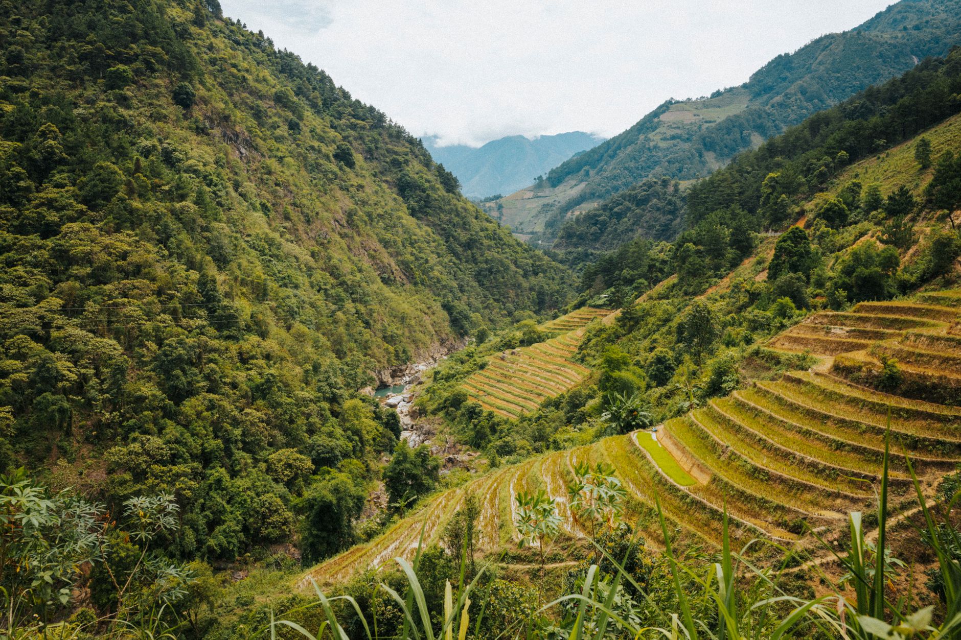 Explore the breathtaking rice terraces and lush greenery of Yên Bái, Vietnam.