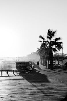 Black and white photo of a cyclist on a boardwalk lined with palm trees during summer.