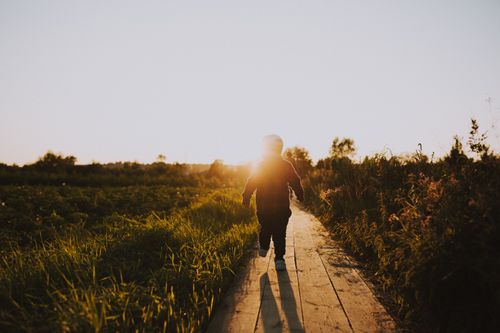 Free A young child walks along a wooden pathway with the sun setting in the background. Stock Photo