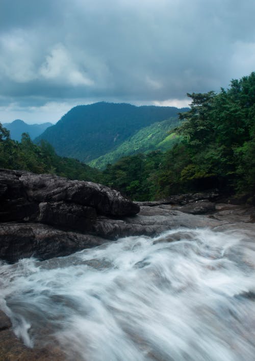 Green Trees Beside River Under Cloudy Sky