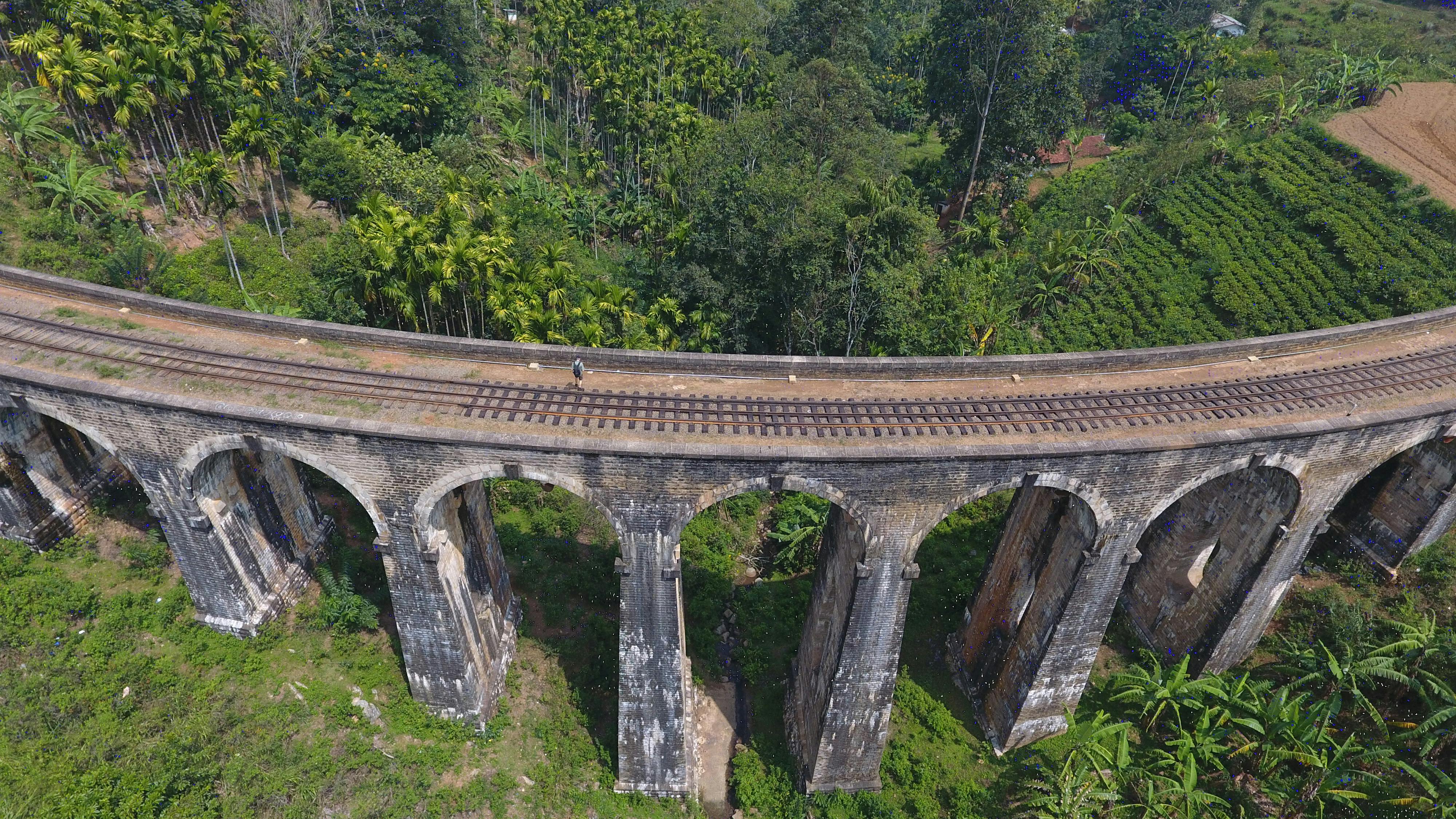 Stunning aerial photograph of the iconic Nine Arches Bridge amidst lush greenery in Ella, Sri Lanka.