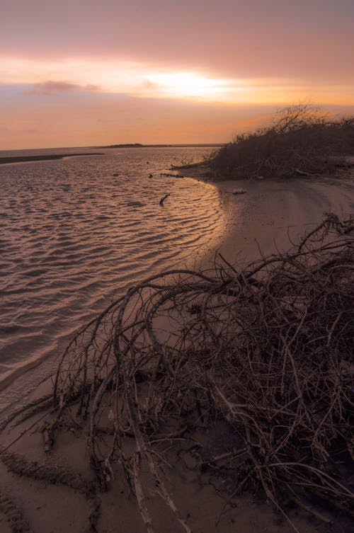 Foto d'estoc gratuïta de alba, claror crepuscular, idíl·lic