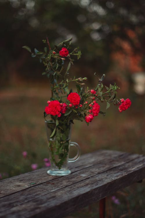 Red Flowers in Glass