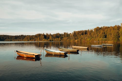 White and Brown Boats on Lake