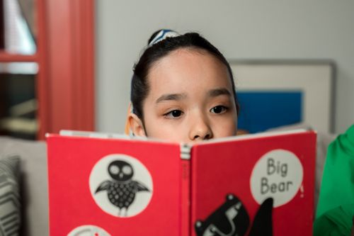 Free A child attentively reading a book in a cozy indoor setting. Stock Photo