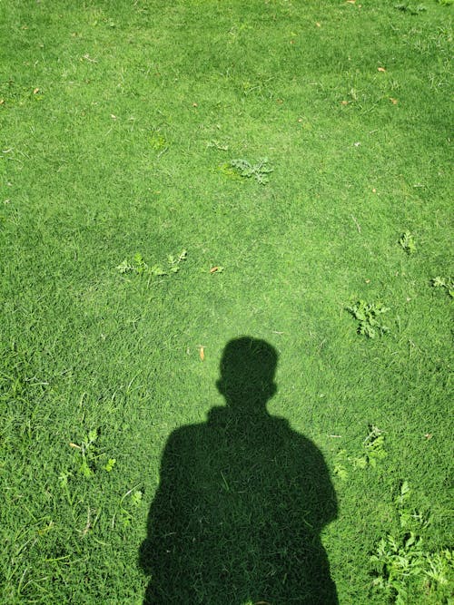 Free Shadow of Person on Green Grass Field Stock Photo