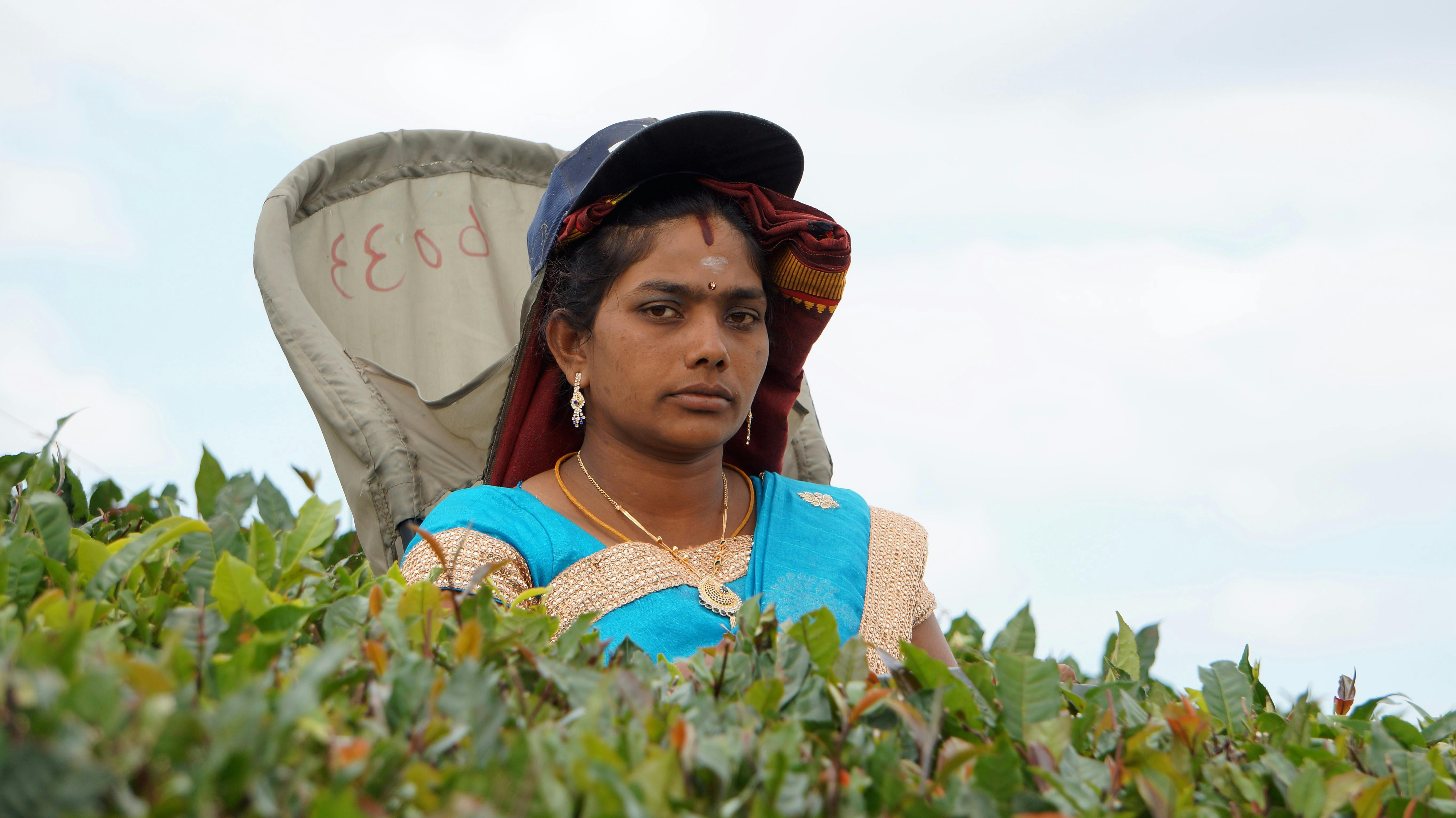 girl on agricultural field