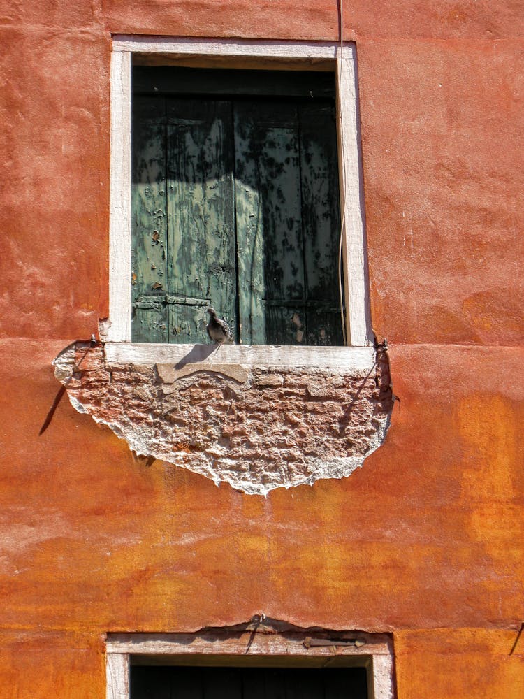 
A Bird On A Window Sill