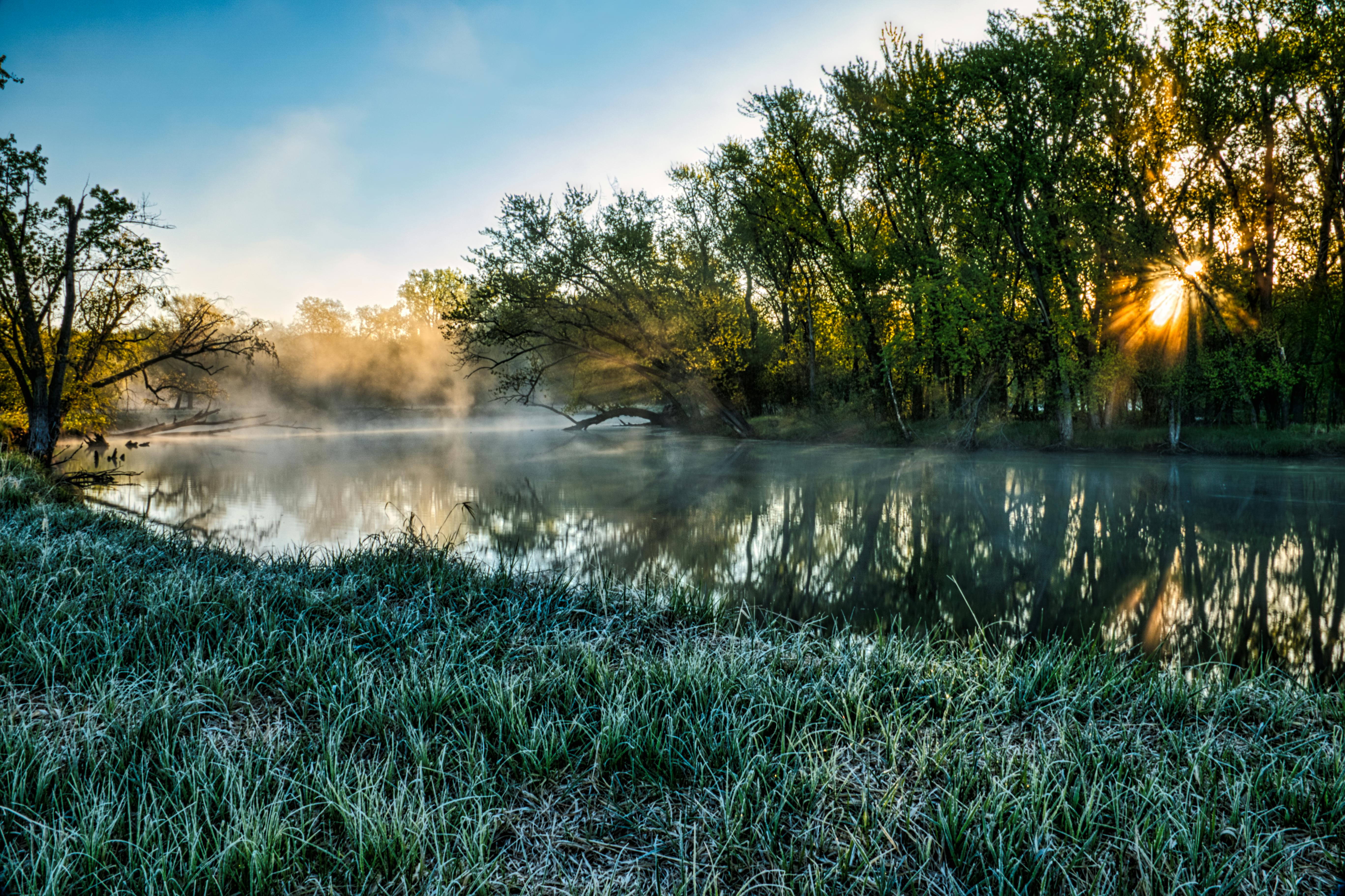 Green Grass Near Lake · Free Stock Photo