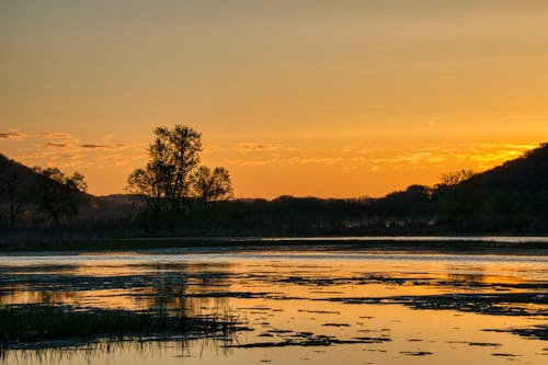 Ilmainen kuvapankkikuva tunnisteilla aamu, appelsiini, auringonlasku