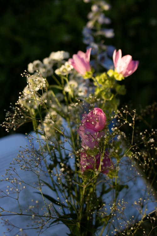 Pink Flowers in Tilt Shift Lens 