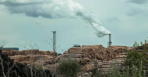 Безкоштовне стокове фото на тему «Вирубка лісів, колоди, промисловий»