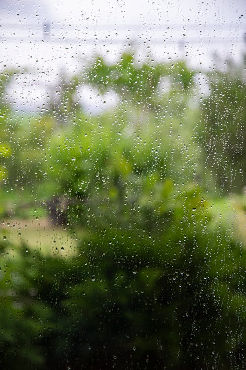 Water Droplets on a Window