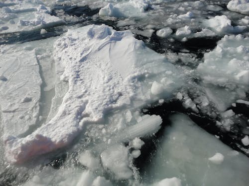 Free stock photo of cold, iceberg, ocean