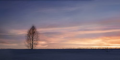 A Snow Covered Field during Twilight