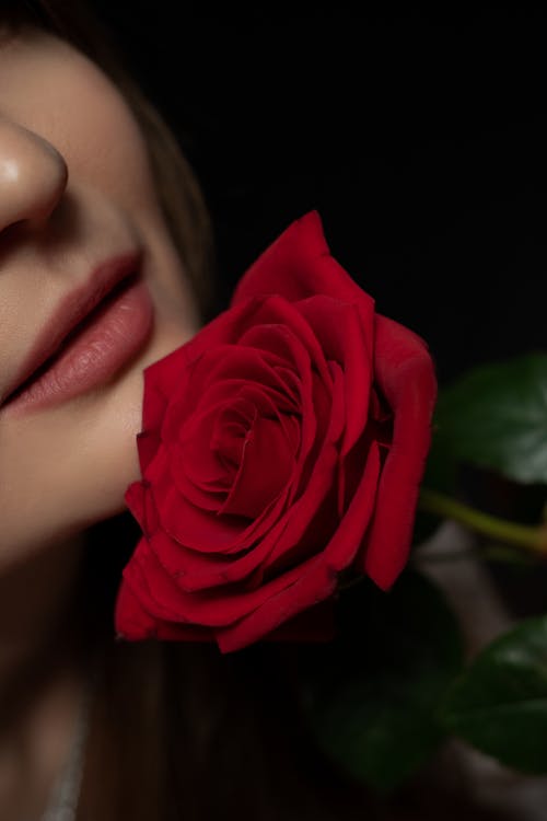 Free A Woman Holding a Red Rose Stock Photo