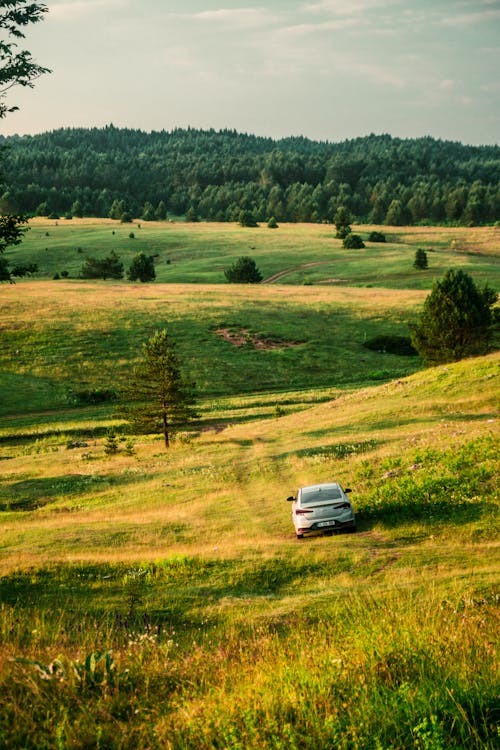 Free White Car on Green Grass Field Stock Photo