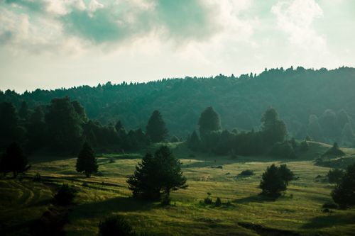 Free A serene rural landscape featuring rolling hills and dense forests under a cloudy sky. Stock Photo