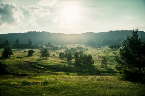 Green Grassland during Sunny Day 