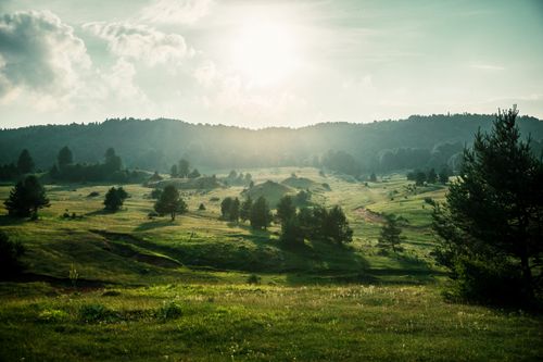 Free Picturesque countryside landscape with rolling hills and morning sunlight. Stock Photo
