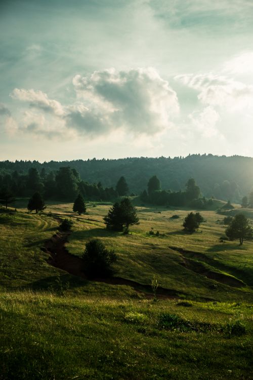 Free Stunning view of rolling grassy hills under a calm sky with scattered clouds. Stock Photo