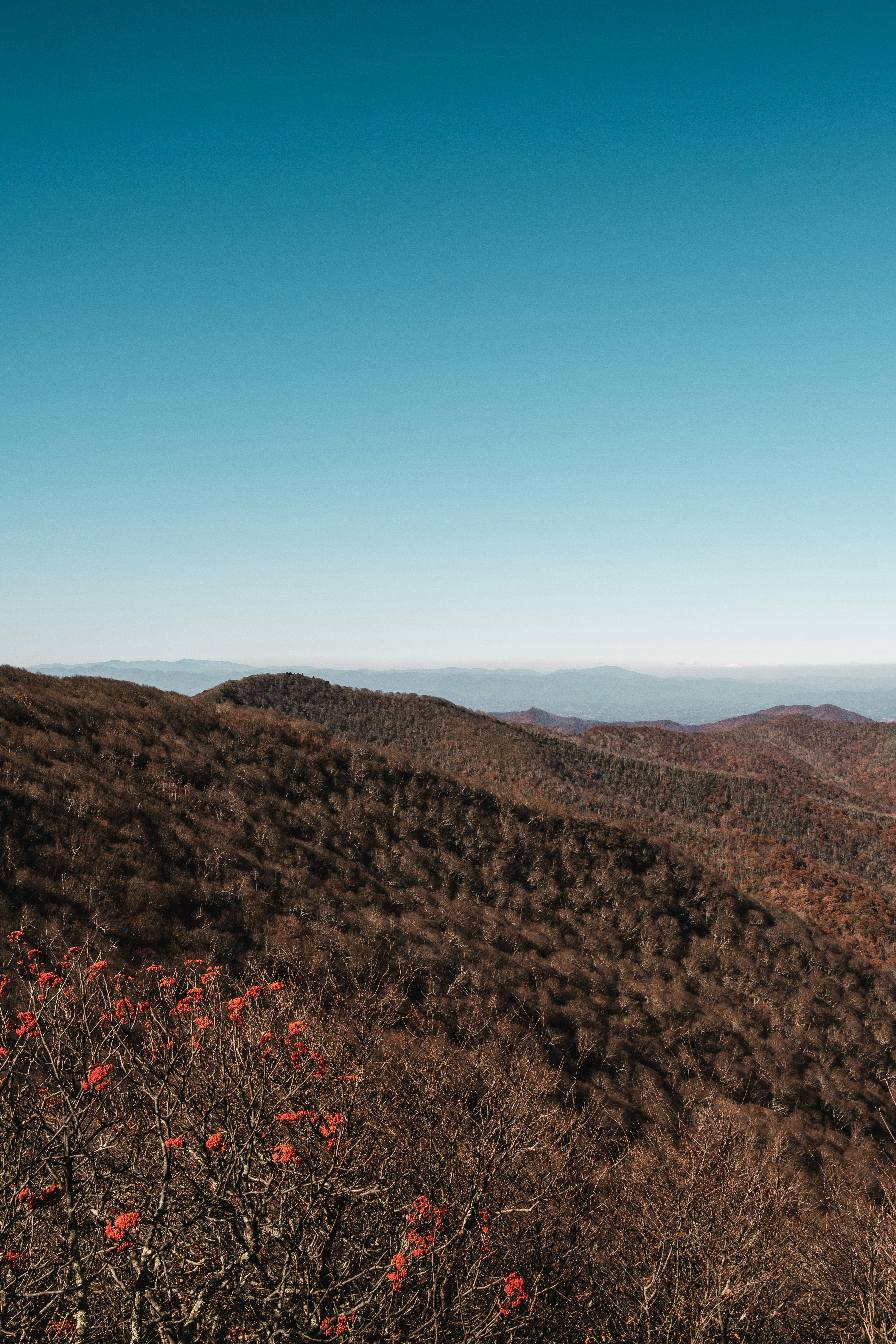 Beautiful view of the Blue Ridge Mountains in North Carolina during autumn with clear skies.