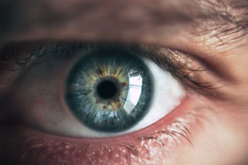 Free Person Eye Stock Photo