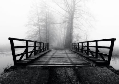 Free stock photo of fog, wooden bridge