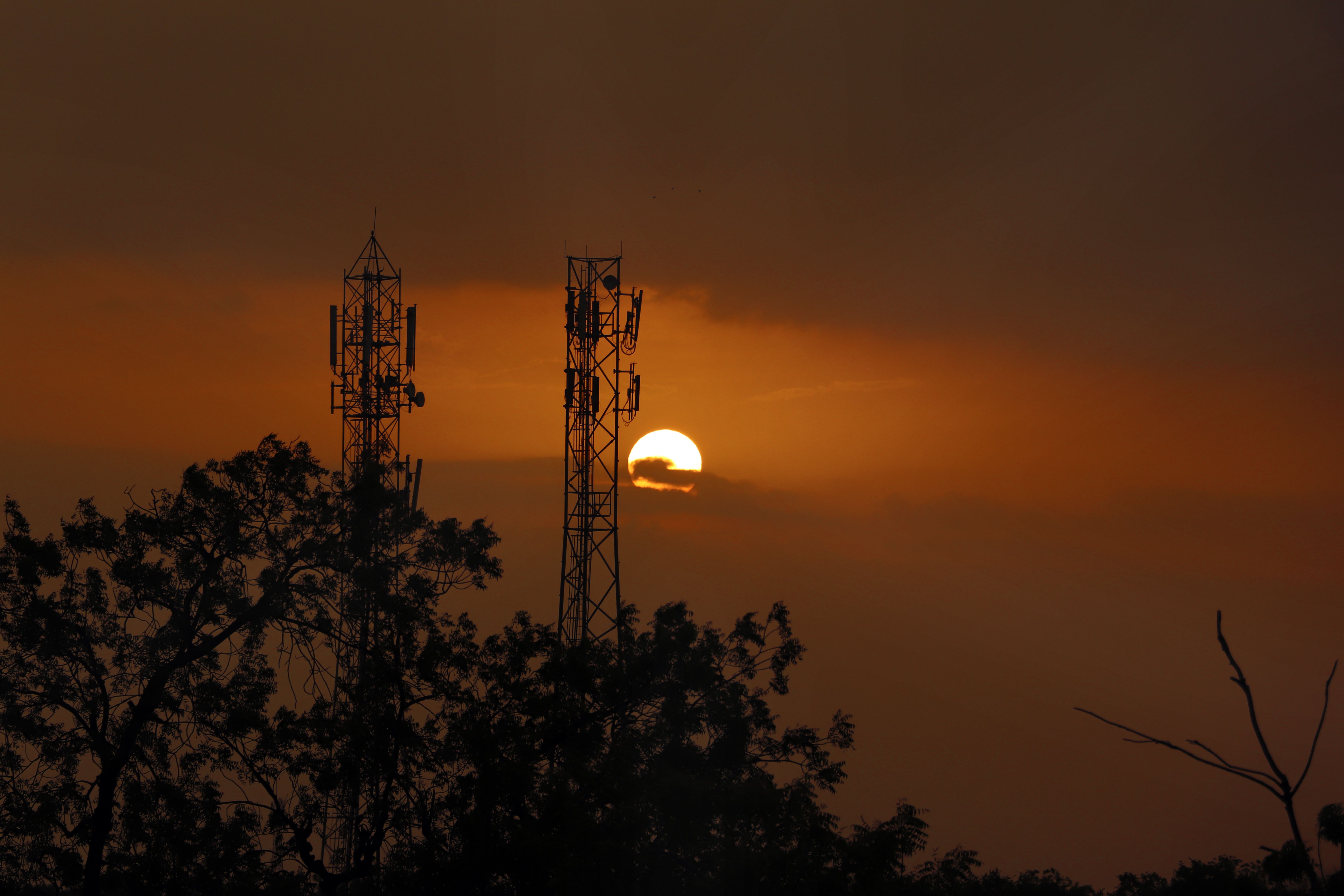 ISRO, TIFR sign MoU for collaboration in space science, tech, exploration — Photo by Ashish Shukla on Pexels