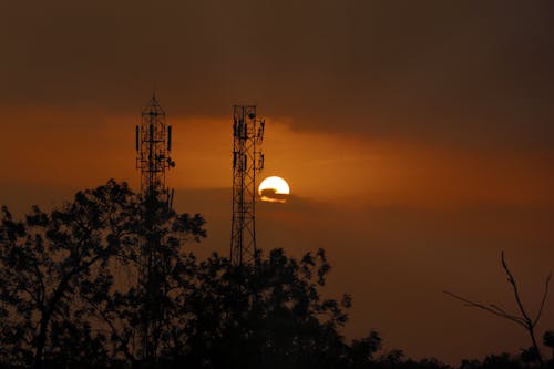 Silhouette of Trees and Electric Tower during Beautiful Sunset